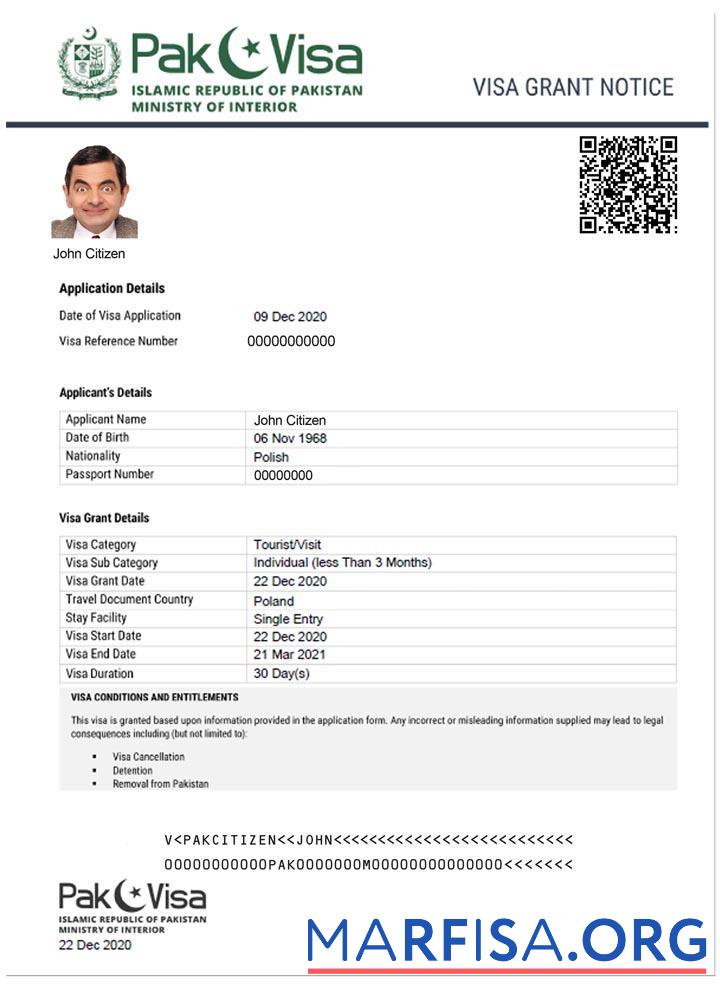 Realistic Pakistan e visa download for verification